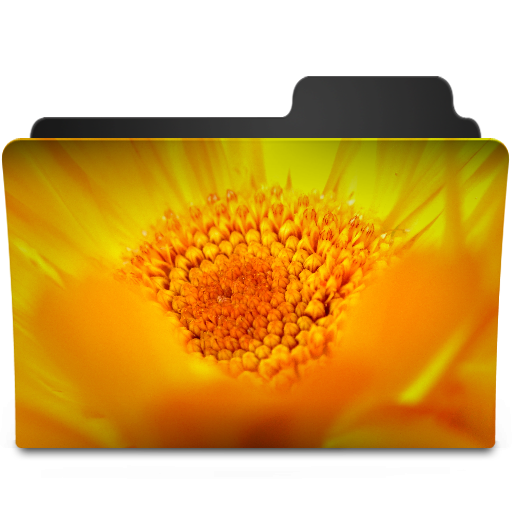 Flowers Yellow Icon 512x512 png